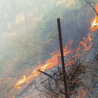 Feu de forêts-Skikda.26.07.2023