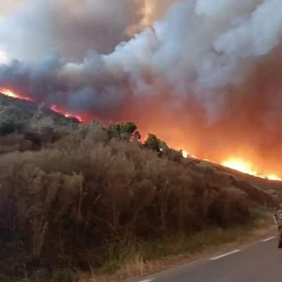 Tizi Ouzou-Incendie.24.07.2023