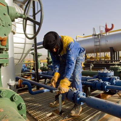 الجزائر تتصدر مشهد البلدان التي تمتلك مجموعة من الفرص الإستثمارية في مجال الطاقات التقليدية والمتجددة 