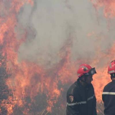 الحماية المدنية: إخماد أغلب حرائق الغابات بعدة ولايات من الوطن 