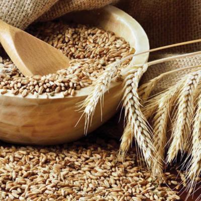 إعادة تنظيم عملية توزيع الأعلاف المدعمة على المربين إعادة تنظيم عملية توزيع الأعلاف المدعمة على المربين