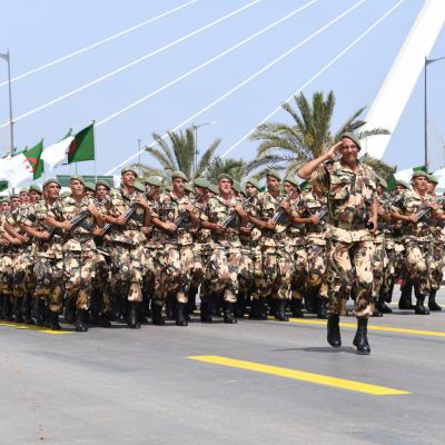 اليوم الوطني للجيش: عرفان بالأدوار المحورية للسليل
