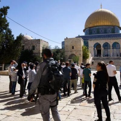 فلسطين: عشرات المستوطنين يقتحمون المسجد الأقصى المبارك فلسطين: عشرات المستوطنين يقتحمون المسجد الأقصى المبارك