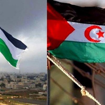 إشادة بموقف الجزائر الداعم للقضيتين العادلتين الفلسطينية والصحراوية 