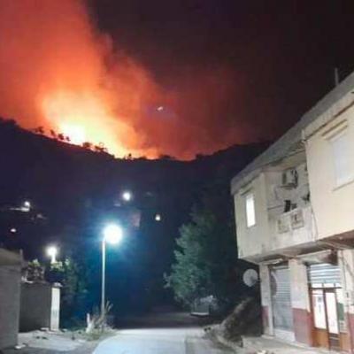 feux-de-foret-bejaia.jpg