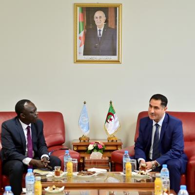 مقرر الأمم المتحدة الخاص 