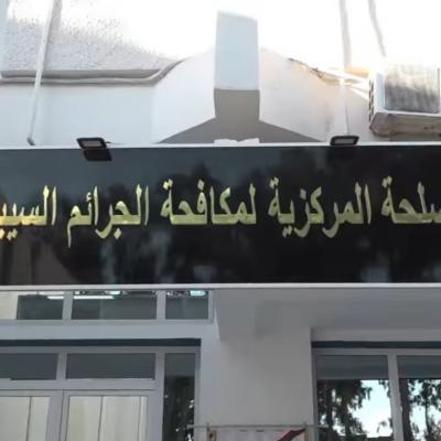 السيبرانية