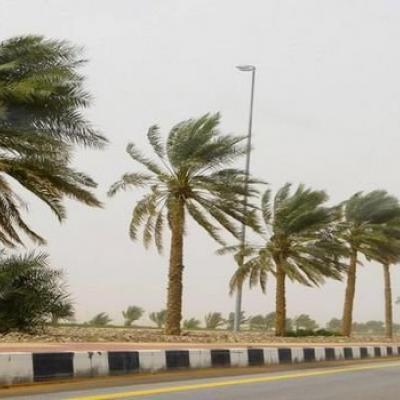 نشرية خاصة