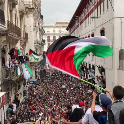 مسيرات - الجزائر-فلسطين-غزة