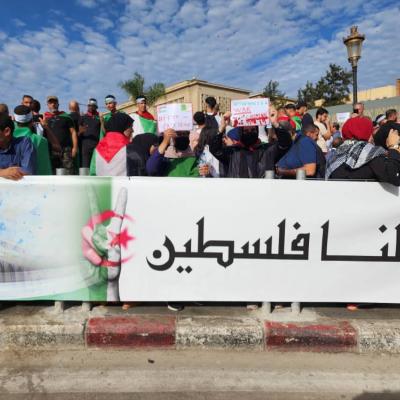 مسيرات نصرة فلسطين 