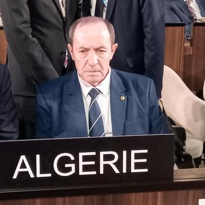 belaabed-unesco.jpg