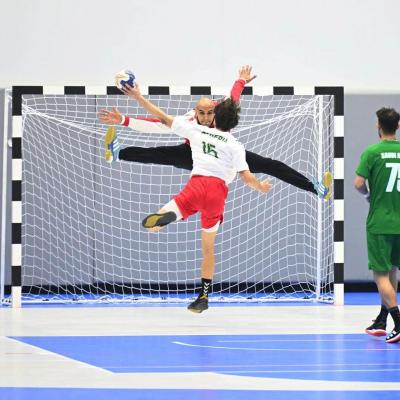 Equipe nationale de handball
