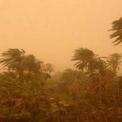 هبوب رياح قوية مصحوبة بعواصف بعدد من ولايات الوطن 