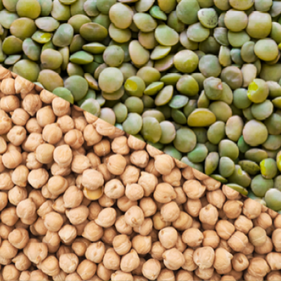 pois-chicheslentilles.png