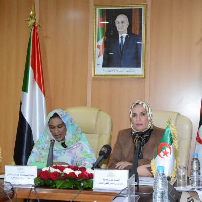 دبلوماسية برلمانية 