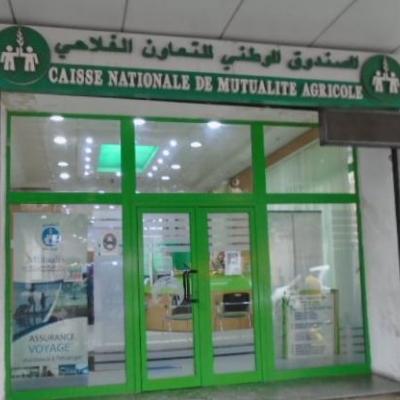 الصندوق الوطني للتعاون الفلاحي