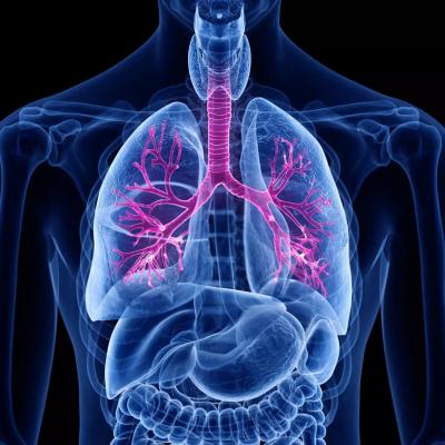 fibrose-pulmonaire-idiopathique-fpi.jpeg