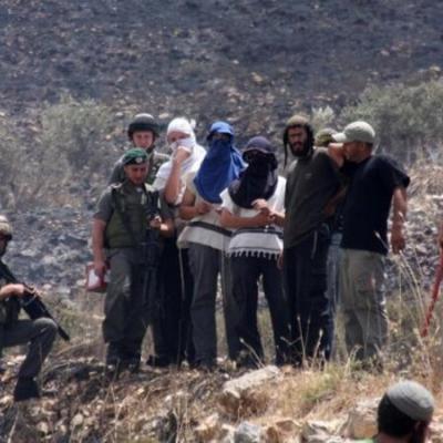 فلسطين: مخطط صهيوني جديد للاستيلاء على 104 دونمات من أراضي قلقيلية بالضفة الغربية