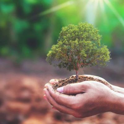 Concours national du journalisme environnemental 
