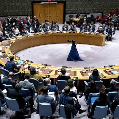 Conseil de sécurité de l'ONU.30.01.2024