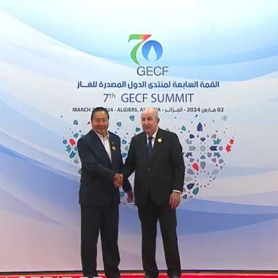 رئيس الجمهورية