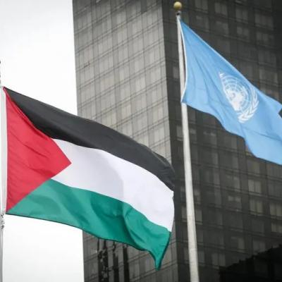 طلب عضوية فلسطين في الأمم المتحدة 