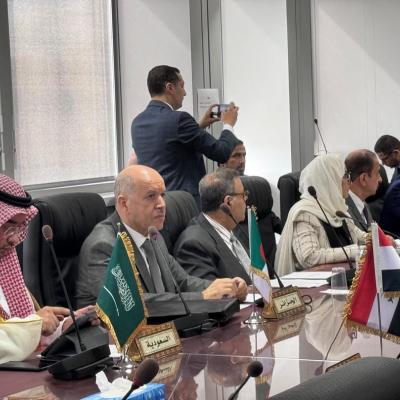 مجلس وزراء الصحة العرب
