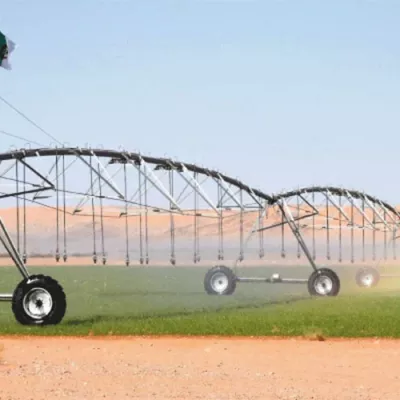 الزراعات الاستراتيجية الزراعات الاستراتيجية