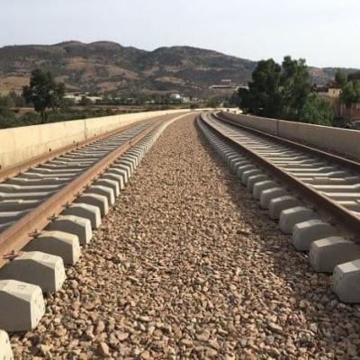 La ligne ferroviaire reliant la wilaya de Khenchela à Aïn Beïda achevée