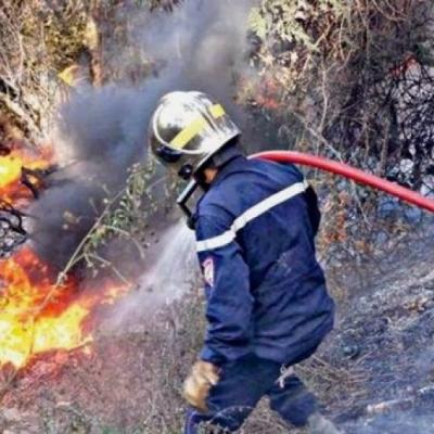 حرائق الغابات 