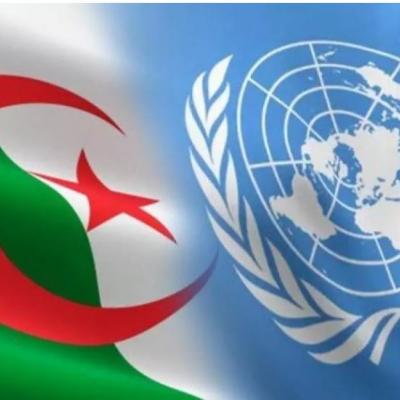 الجزائر الأمم المتحدة 