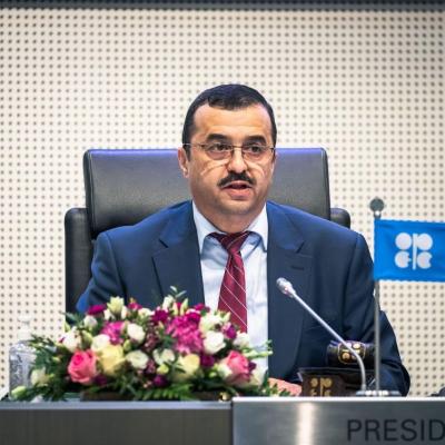 Mohamed Arkab, ministre de l'Energie et des Mines