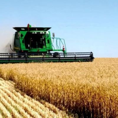 الجزائر/إيطاليا : التوقيع على اتفاقية-إطارلإنجاز مشروع لإنتاج الحبوب والبقوليات بتيميمون 