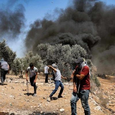 ﻿فلسطين: إصابة عدد من المواطنين بالإختناق