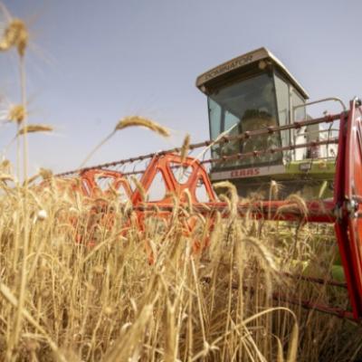  الجزائر- إيطاليا : التوقيع على اتفاقية إطار لإنجاز مشروع لإنتاج الحبوب والبقوليات بتيميمون 