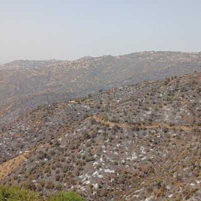 DGPC Incendies