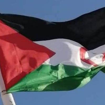 الصحراء الغربية