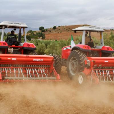 Campagne labours-semailles de la  saison agricole 2024-2025 