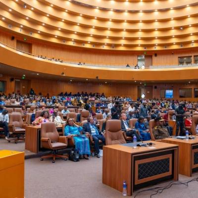 الجزائر تشارك في أشغال الدورة 81 للجنة الافريقية لحقوق الانسان