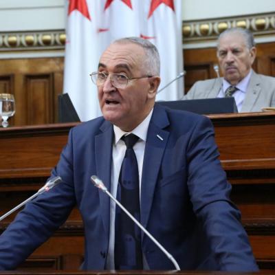 Faid PLF 2025 Conseil de la nation