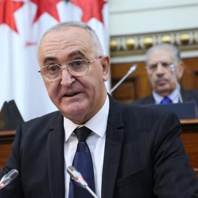 PLF 2025 Conseil de la nation