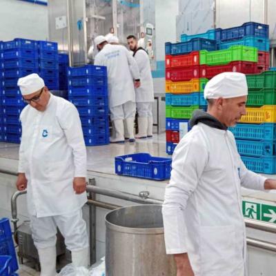 Giplait : lancement en 2025 d’une plateforme numérique de suivi de la production et de la distribution du lait