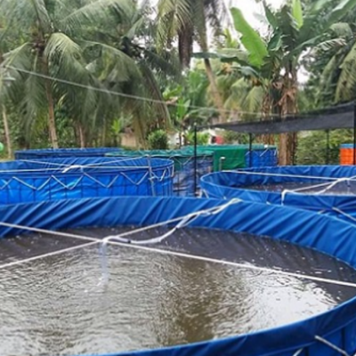 Aquaculture