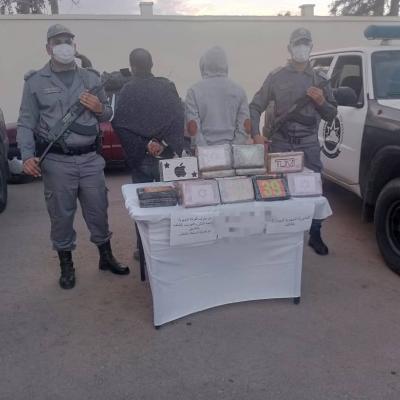 جمارك: حجز 28 كلغ و737 غرامًا من الكوكايين بالشلف