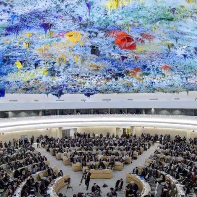 Conseil des droits de l'homme des Nations unies