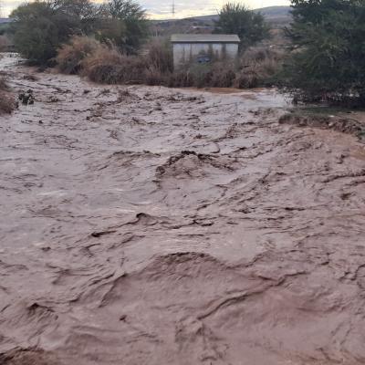 Crue d'oued à Aïn Témouchent