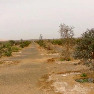 Jardin Tinemri sud