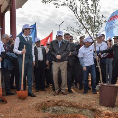 Algérie-Chine : plantation de 500 oliviers à Alger pour renforcer l'amitié 