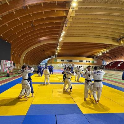 judo-stage_equipes_nationales.jpg