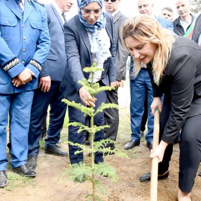 Journée internationale des forêts : Djilali lance une campagne de reboisement à Sidi Abdallah 